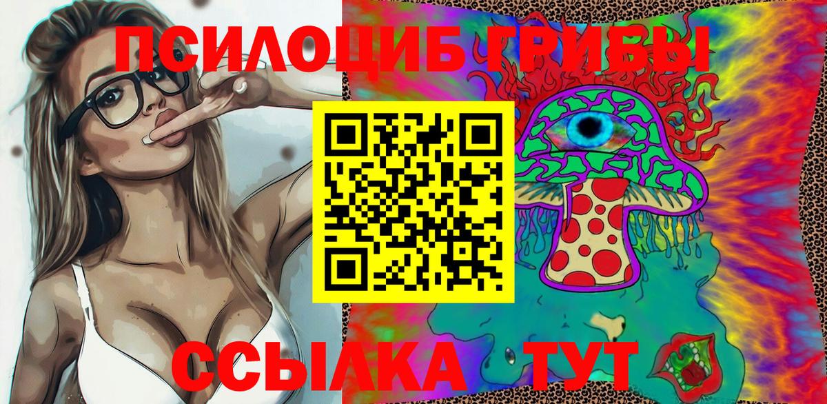 Псилоцибиновые грибы Psilocybine cubensis Первоуральск